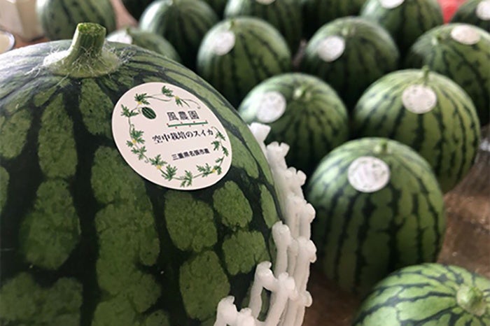 〈風農園〉空飛ぶスイカ