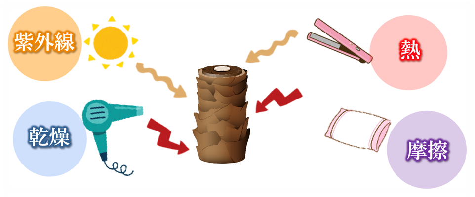 ◯画像・イラストは全てイメージです