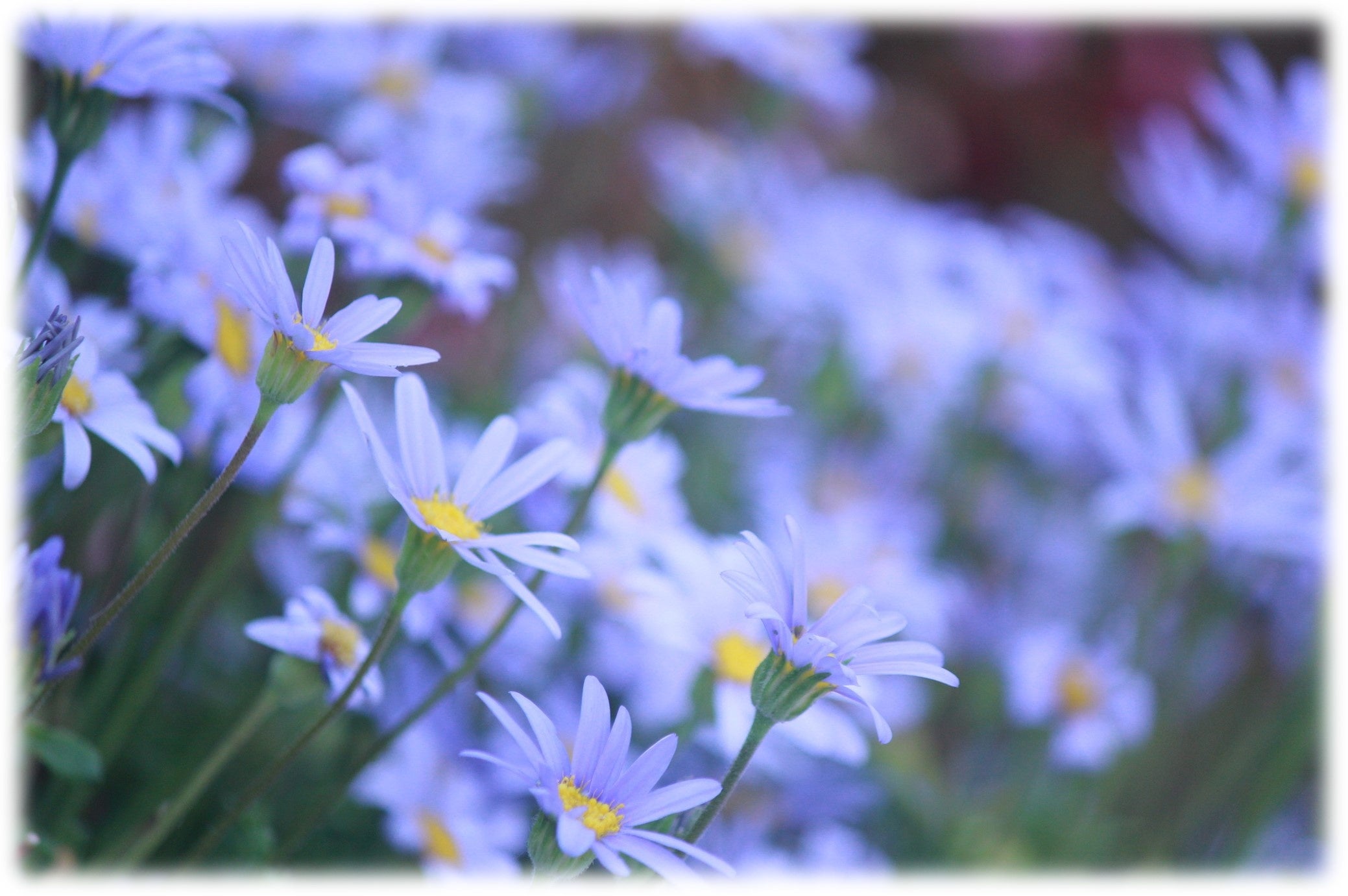 ◯画像・イラストは全てイメージです