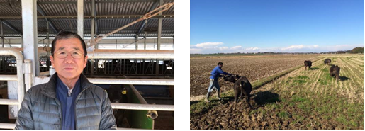 ドリームファーム（茨城県）