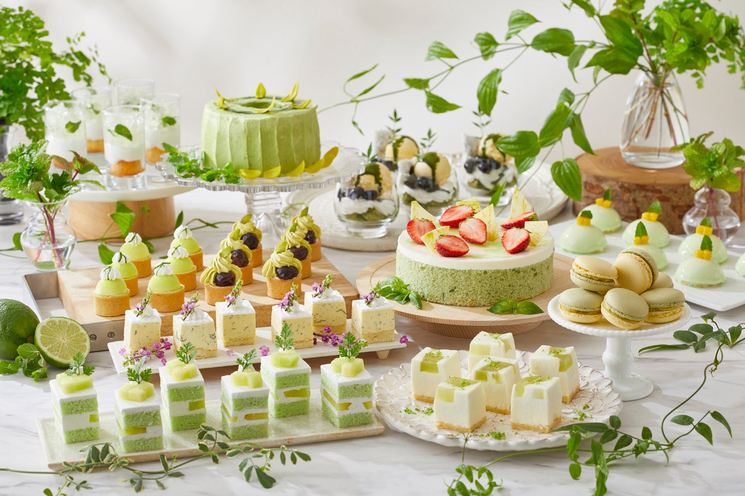 グランドニッコー東京ベイ 舞浜 多彩なテイストの新緑スイーツ 季節の食材を使用した本格ランチメニューを一度に楽しめる 新緑スイーツブッフェ を開催 ニッコー ホテルズ インターナショナルのプレスリリース グランドニッコー東京ベイ 舞浜 多彩なテイストの新緑スイーツ 季節の食材を使用した本格ランチメニューを一度に楽しめる 新緑スイーツブッフェ を開催 ニッコー ホテルズ インターナショナルのプレスリリース