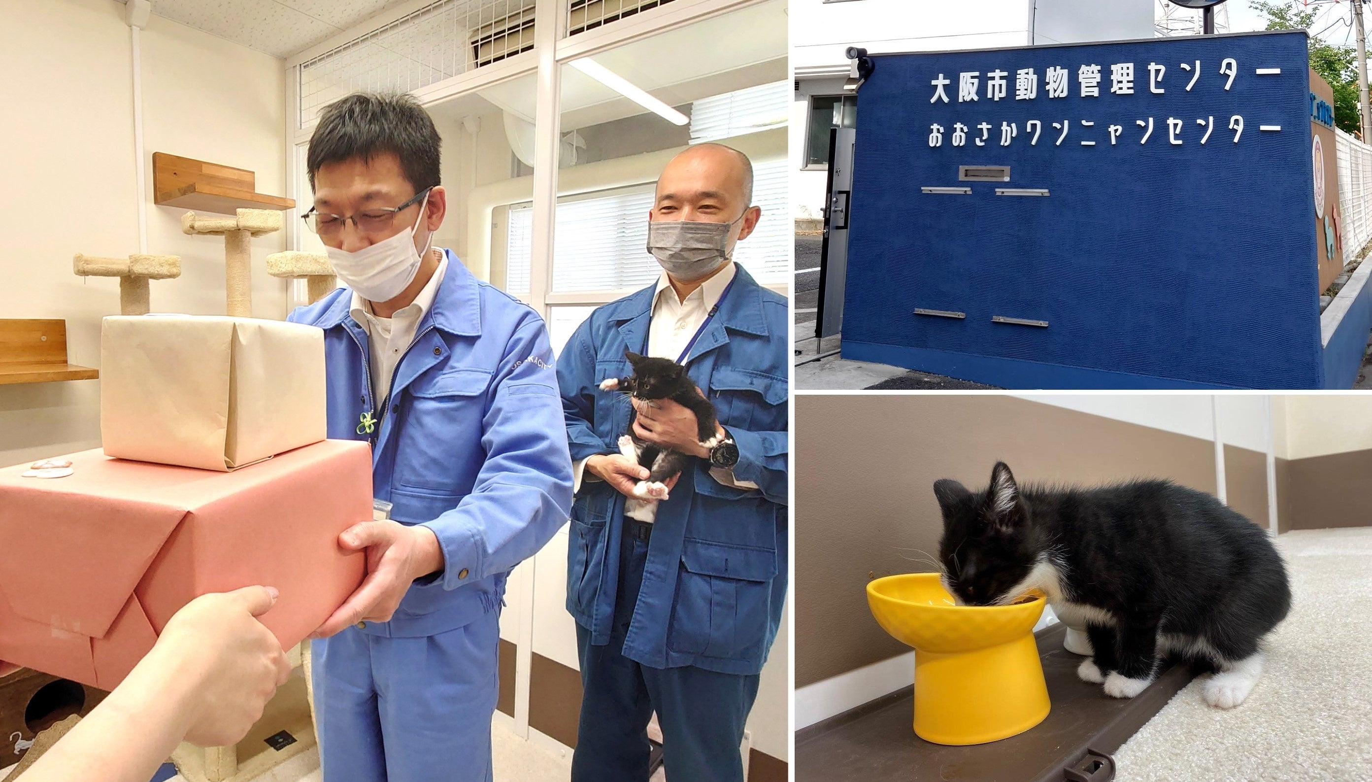 左：おおさかワンニャンセンターへの寄贈の様子　右下：寄贈した猫用食器で保護猫が食事する様子（5月10日撮影）