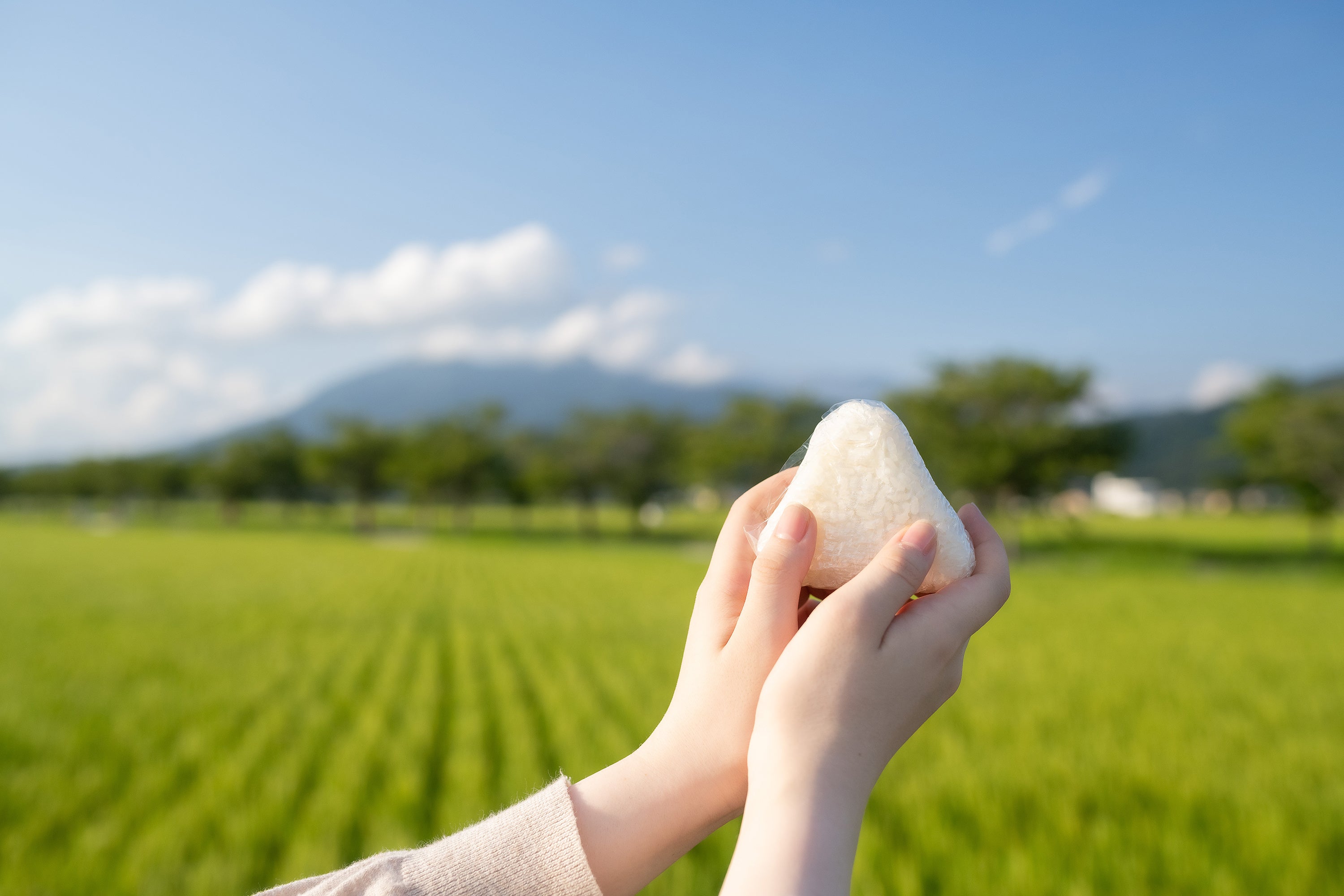 「筑波農園」イメージ