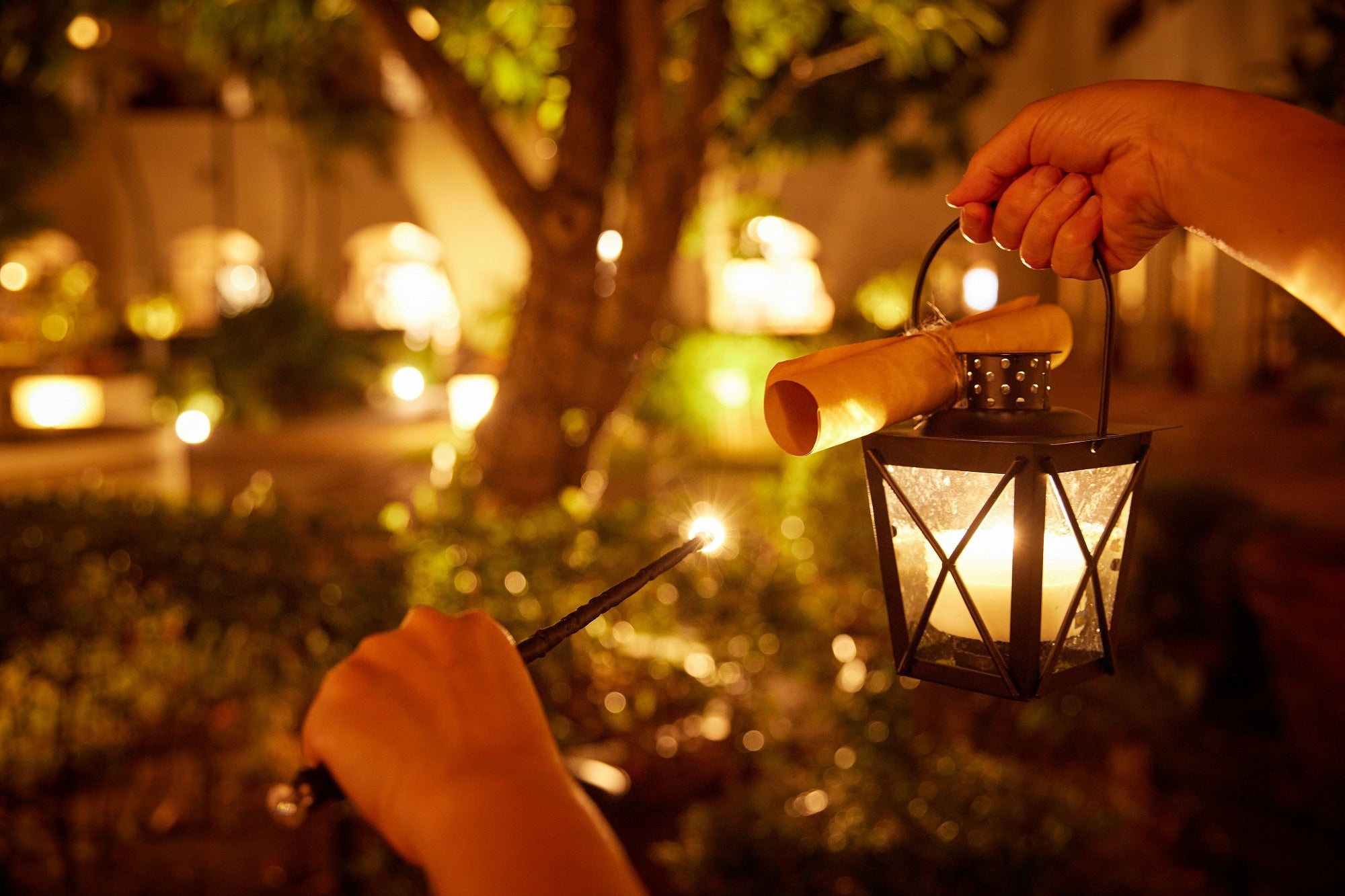 『アリビラ ナイトトレジャーハンティング「魔法使いの散歩道」』イメージ