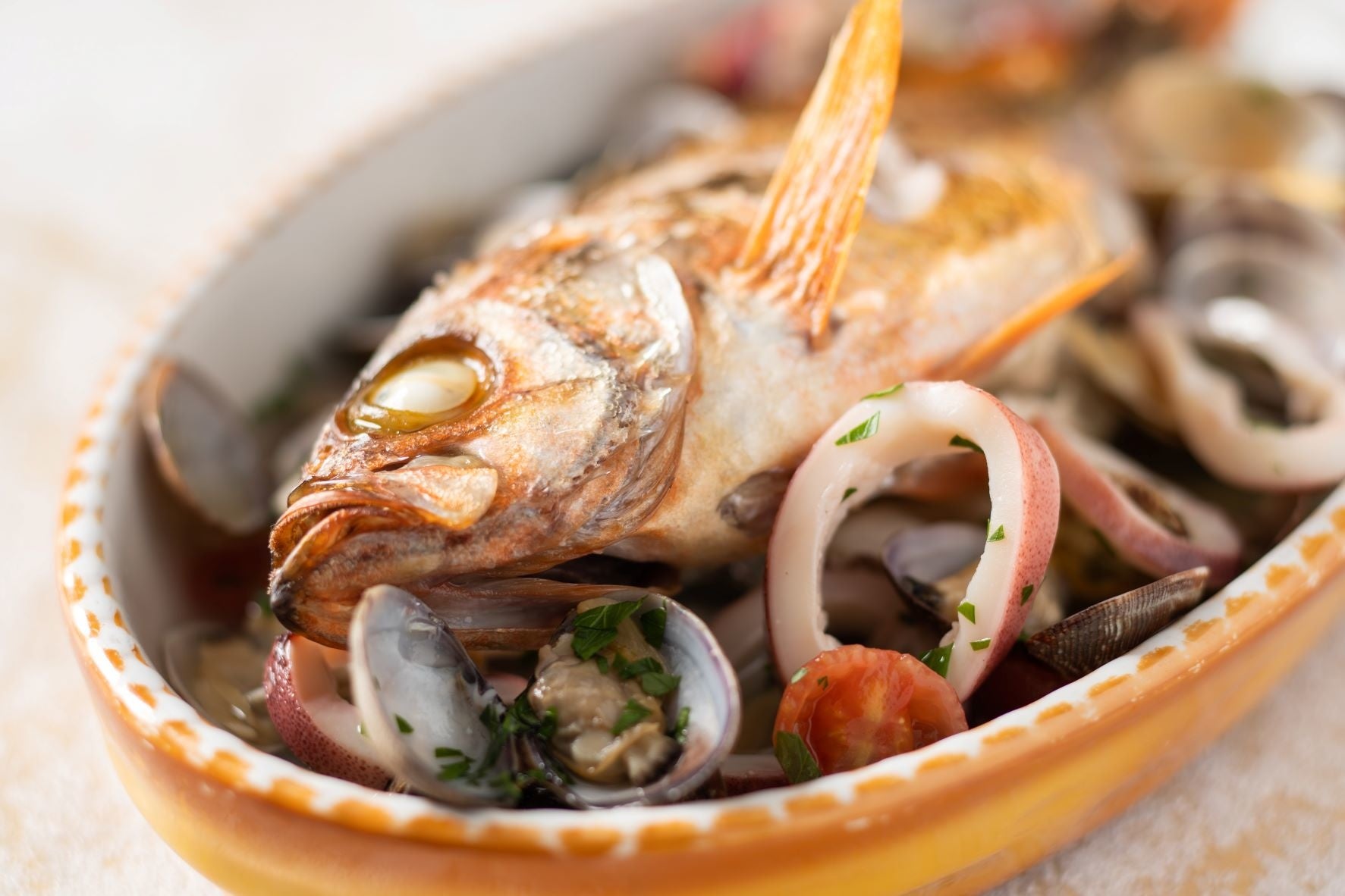 糸島産魚貝類のアクアパッツア（ディナー）