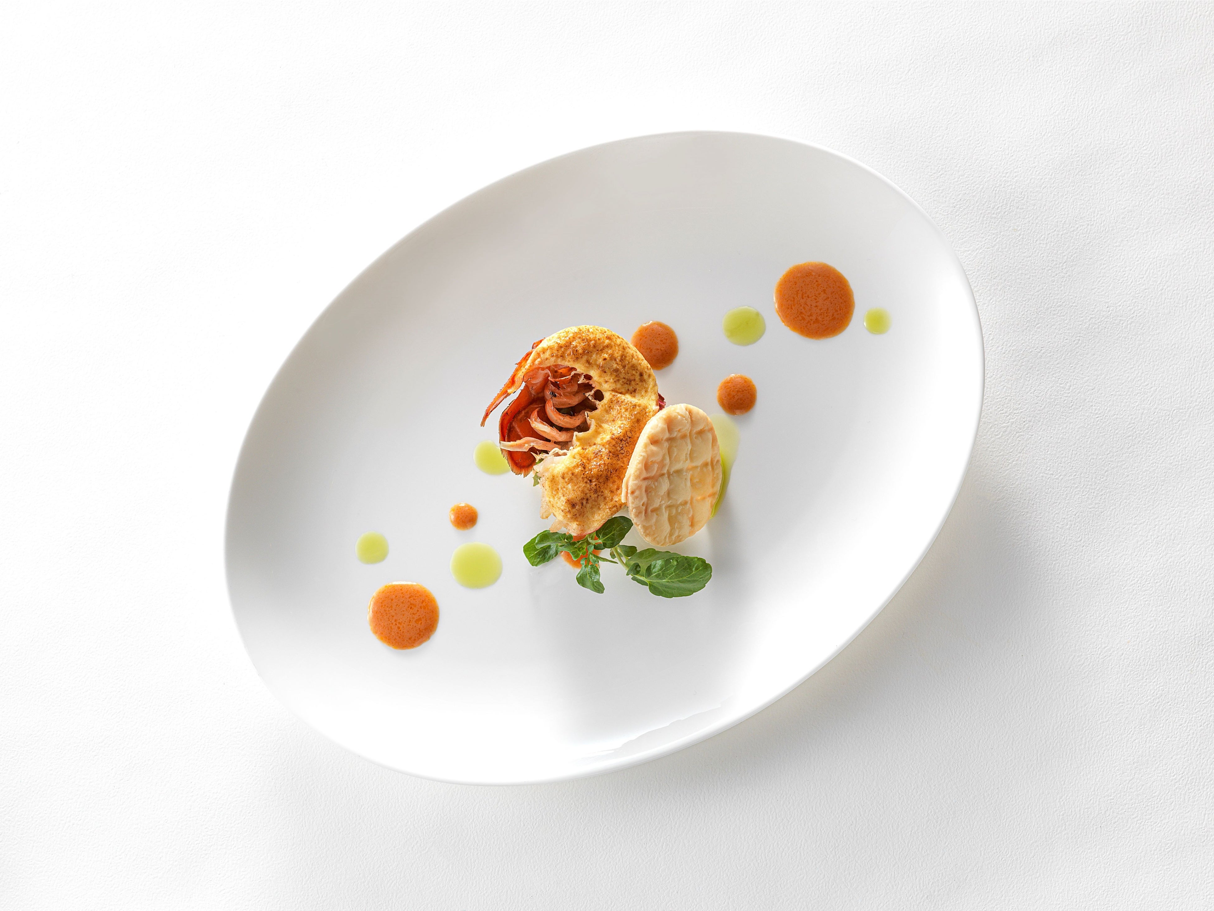 ファンダイニング「コッコラーレ」スペシャリテ　料理イメージ