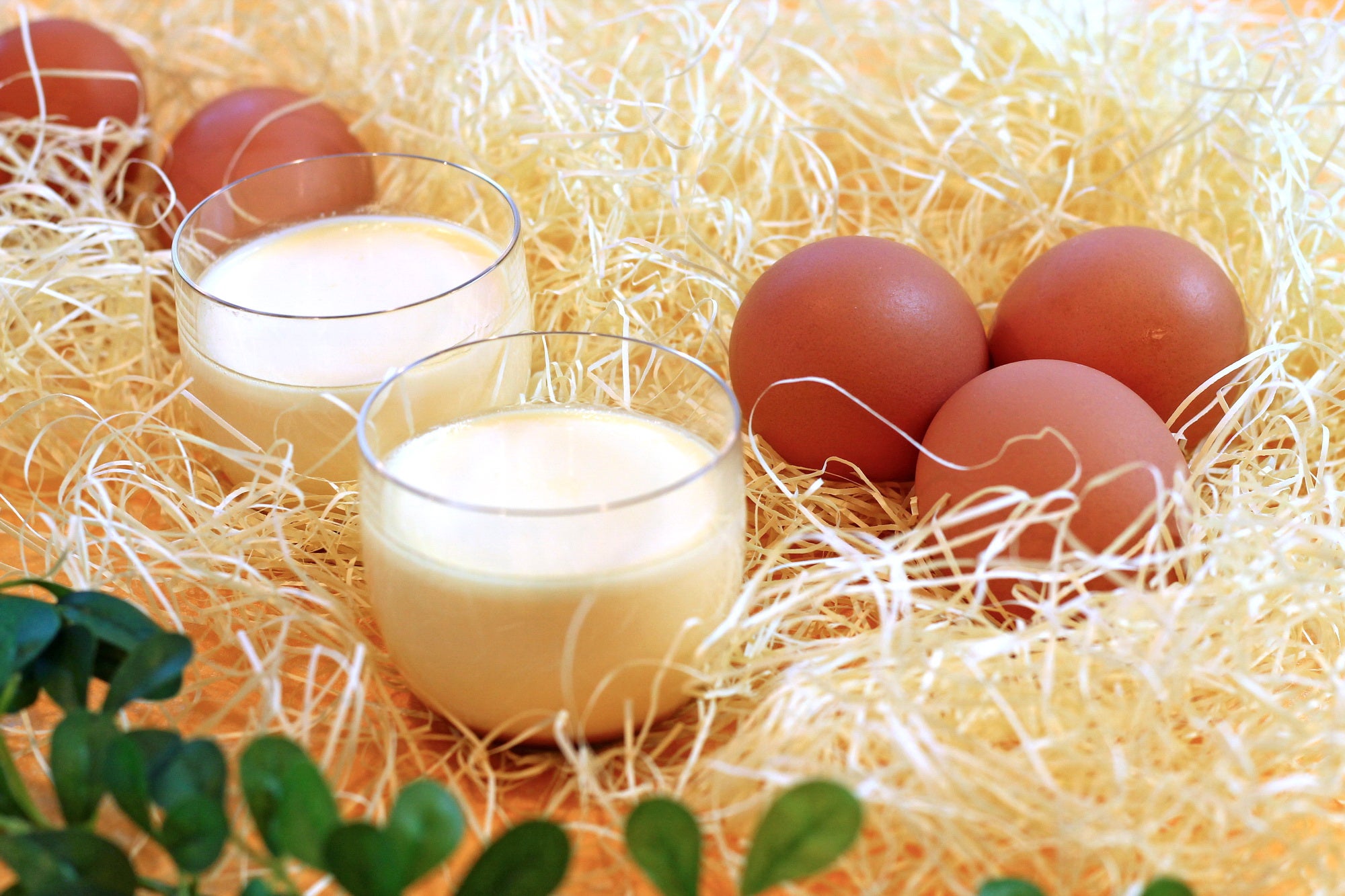 かわさき産たまごと低温殺菌牛乳プリン