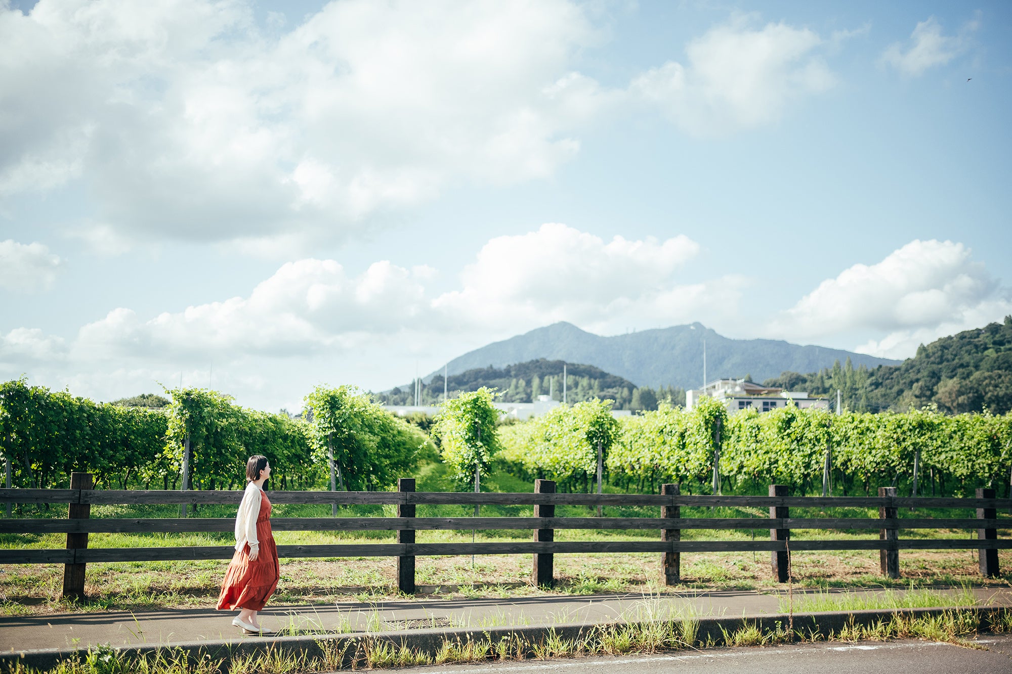「つくたび」イメージ