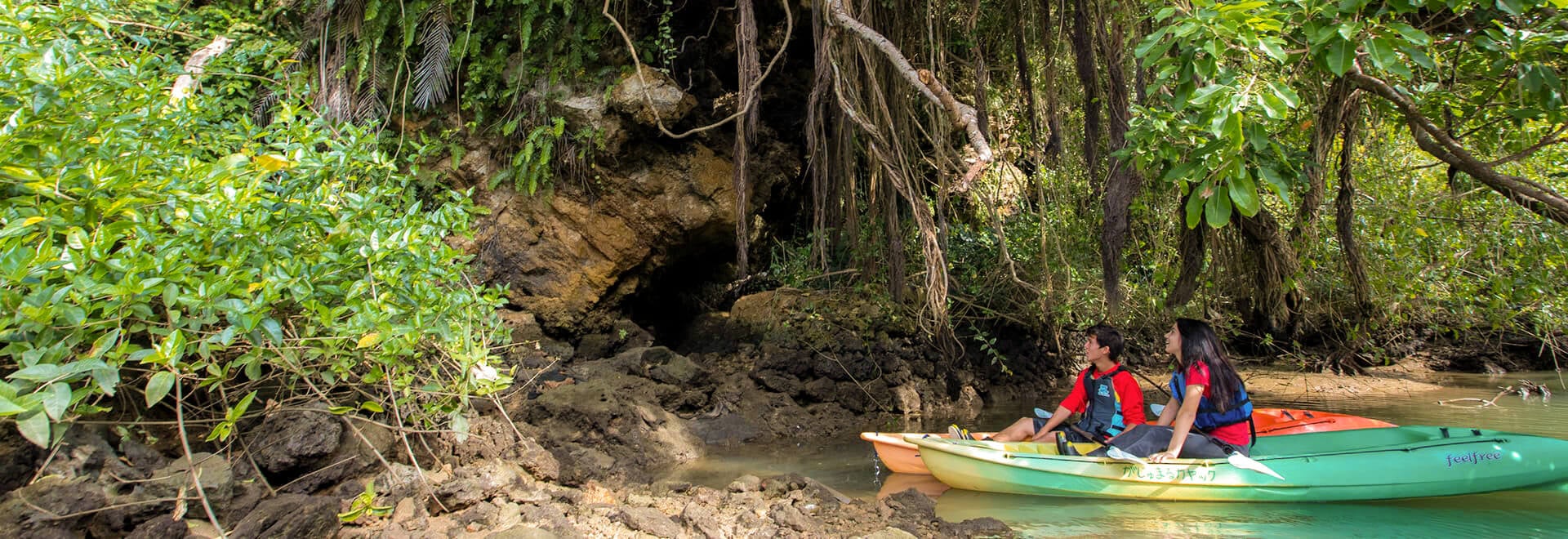 マングローブカヤック体験 イメージ