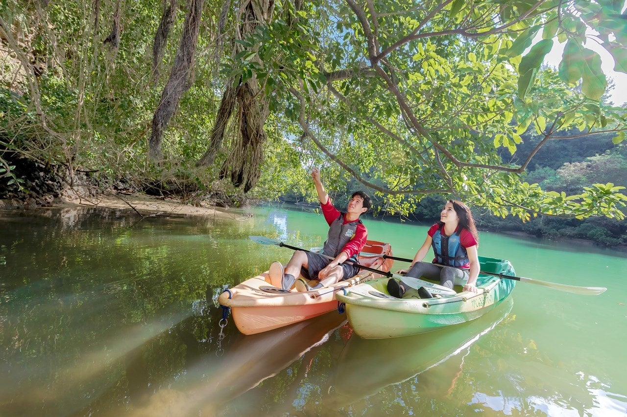 マングローブカヤック体験 イメージ