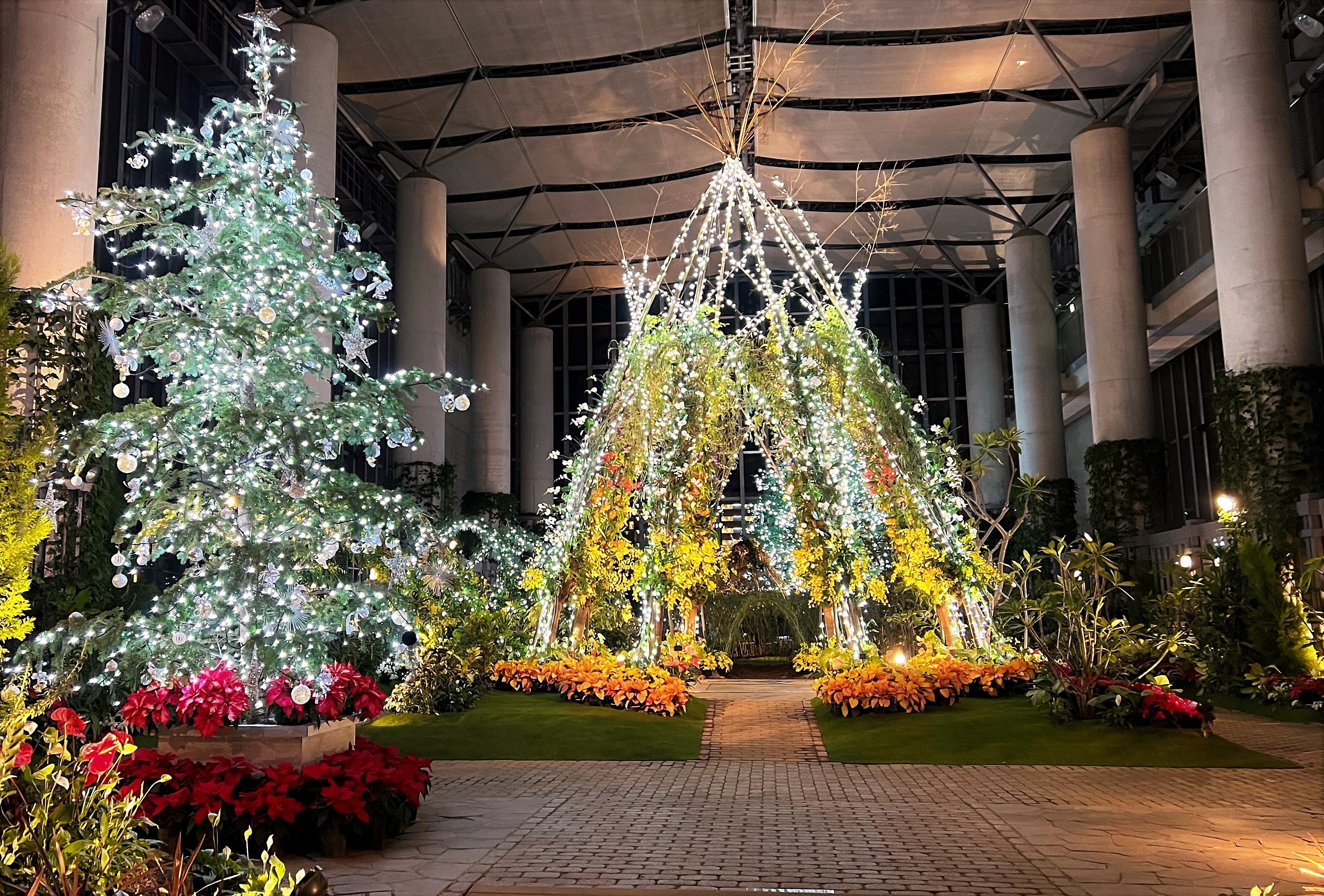 「あわじグリーン館」で開催される『光と花のウインターガーデン』