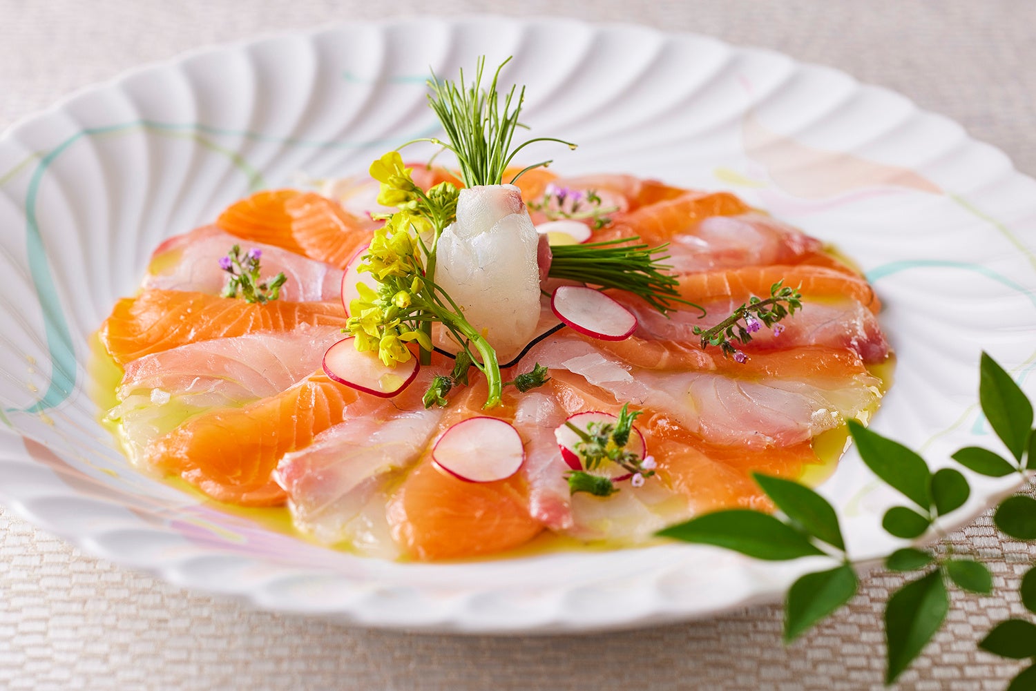 昆布締め真鯛とサーモンの紅白カルパッチョ仕立て 紅白大根飾り