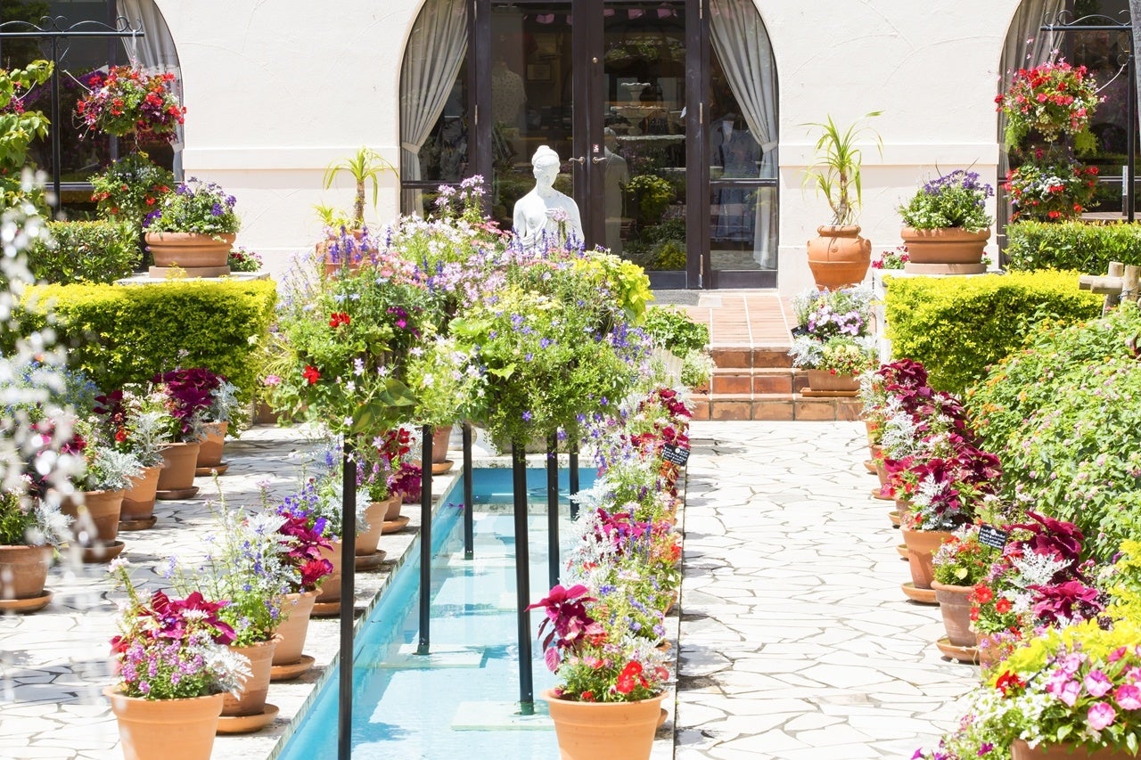 パティオフラワーフェスティバル イメージ