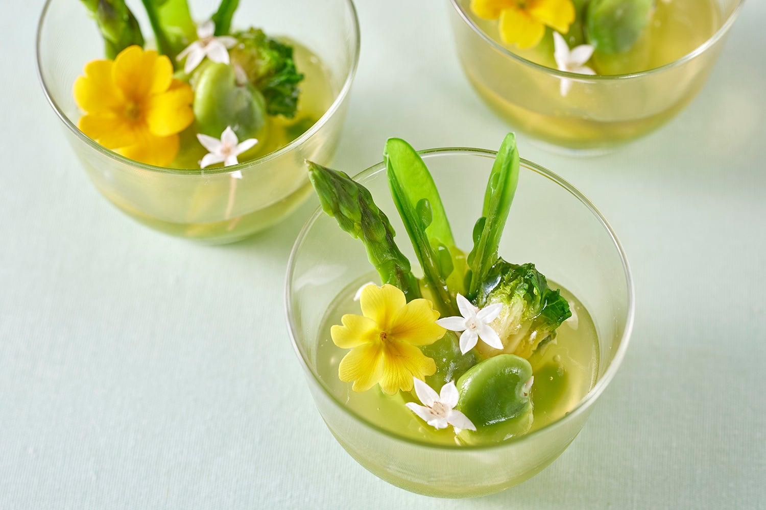 緑の春野菜にきゅうりとトマトの2種類のジュレを添えて