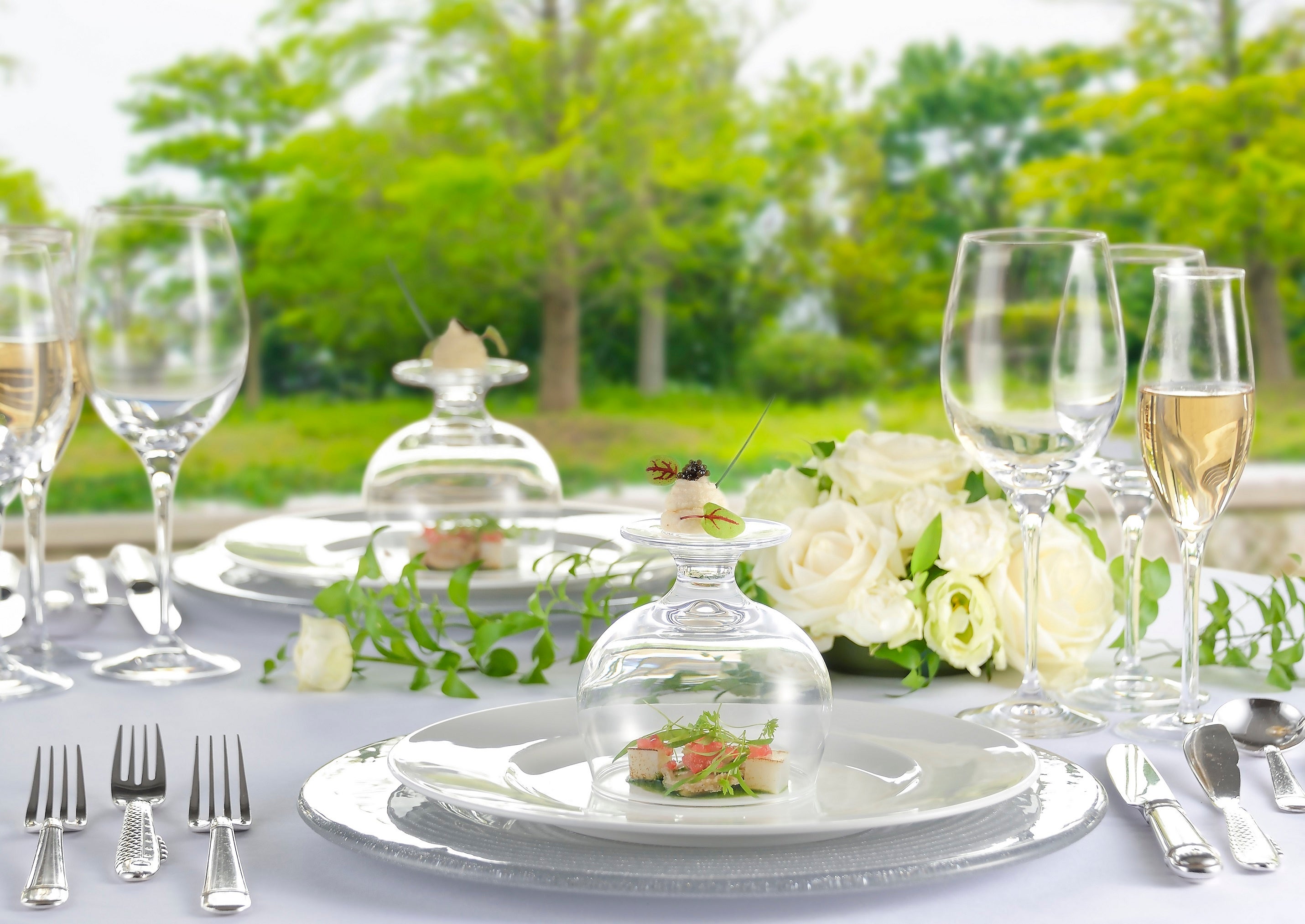 西洋料理 コースイメージ