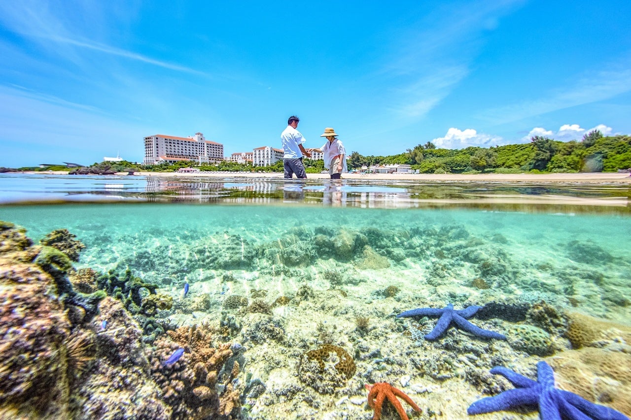 リーフトレイル イメージ