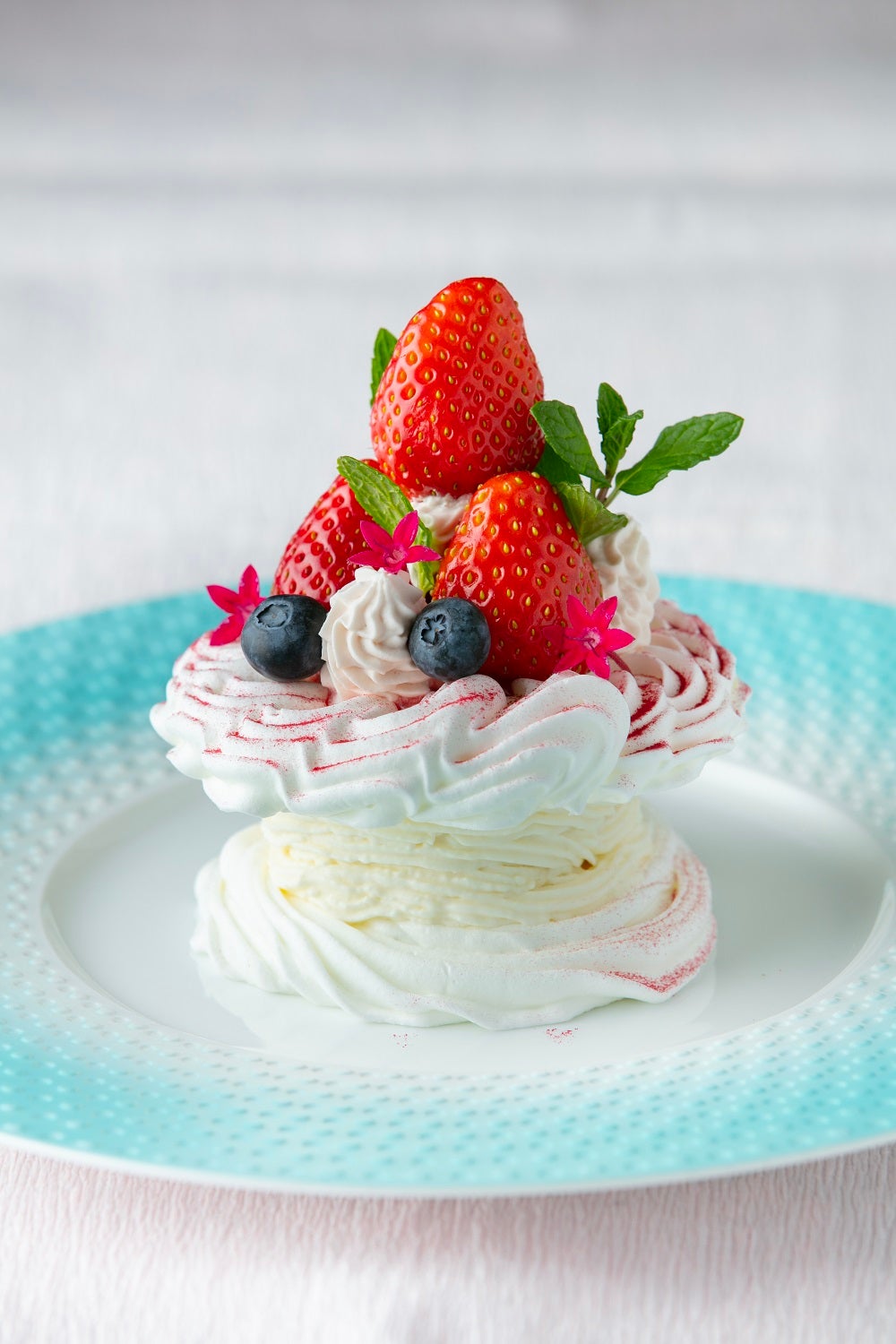 苺のパブロバ ～Strawberry Circus～