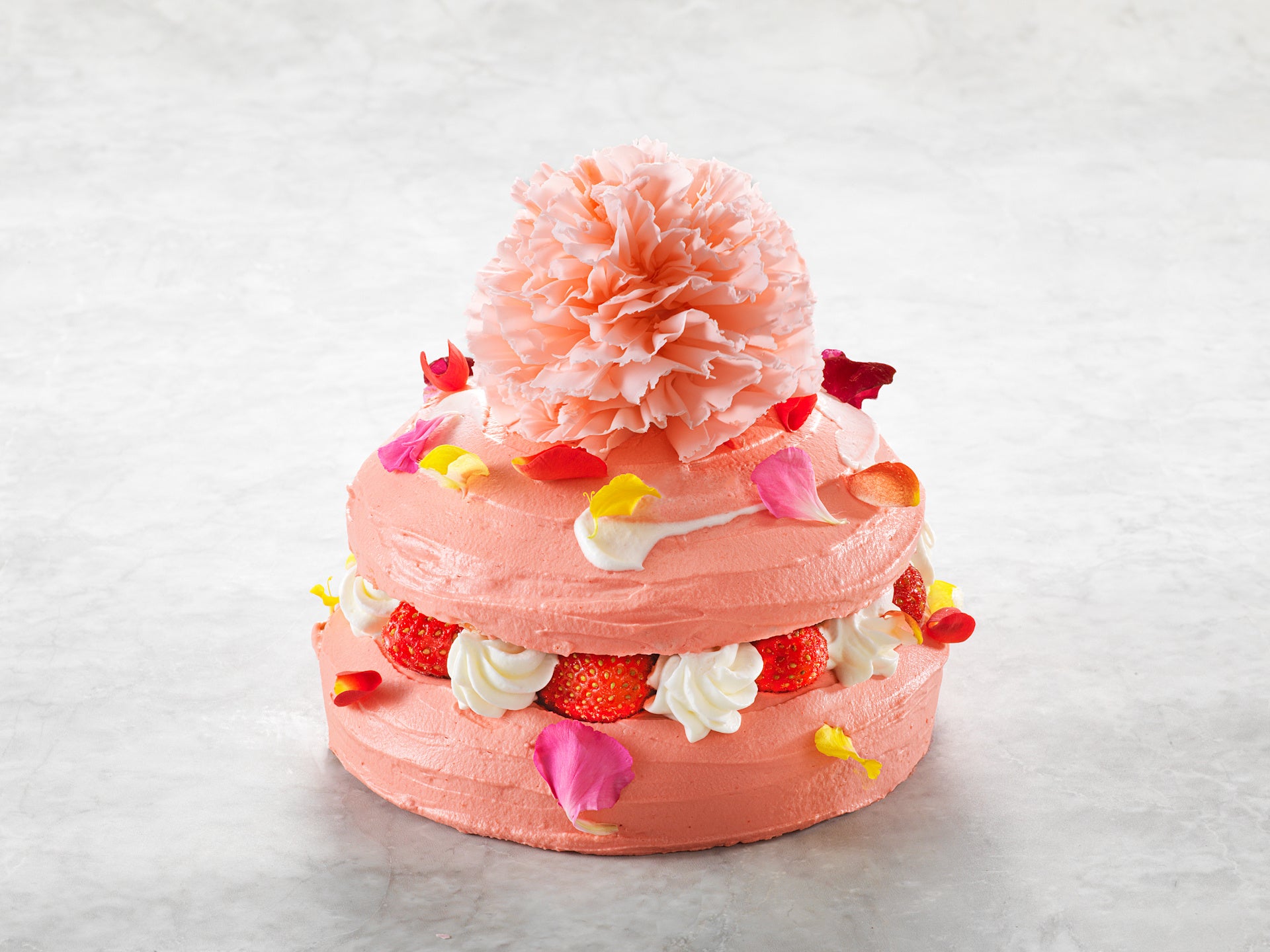 5月限定「Rosa Rosa ローザローザ」