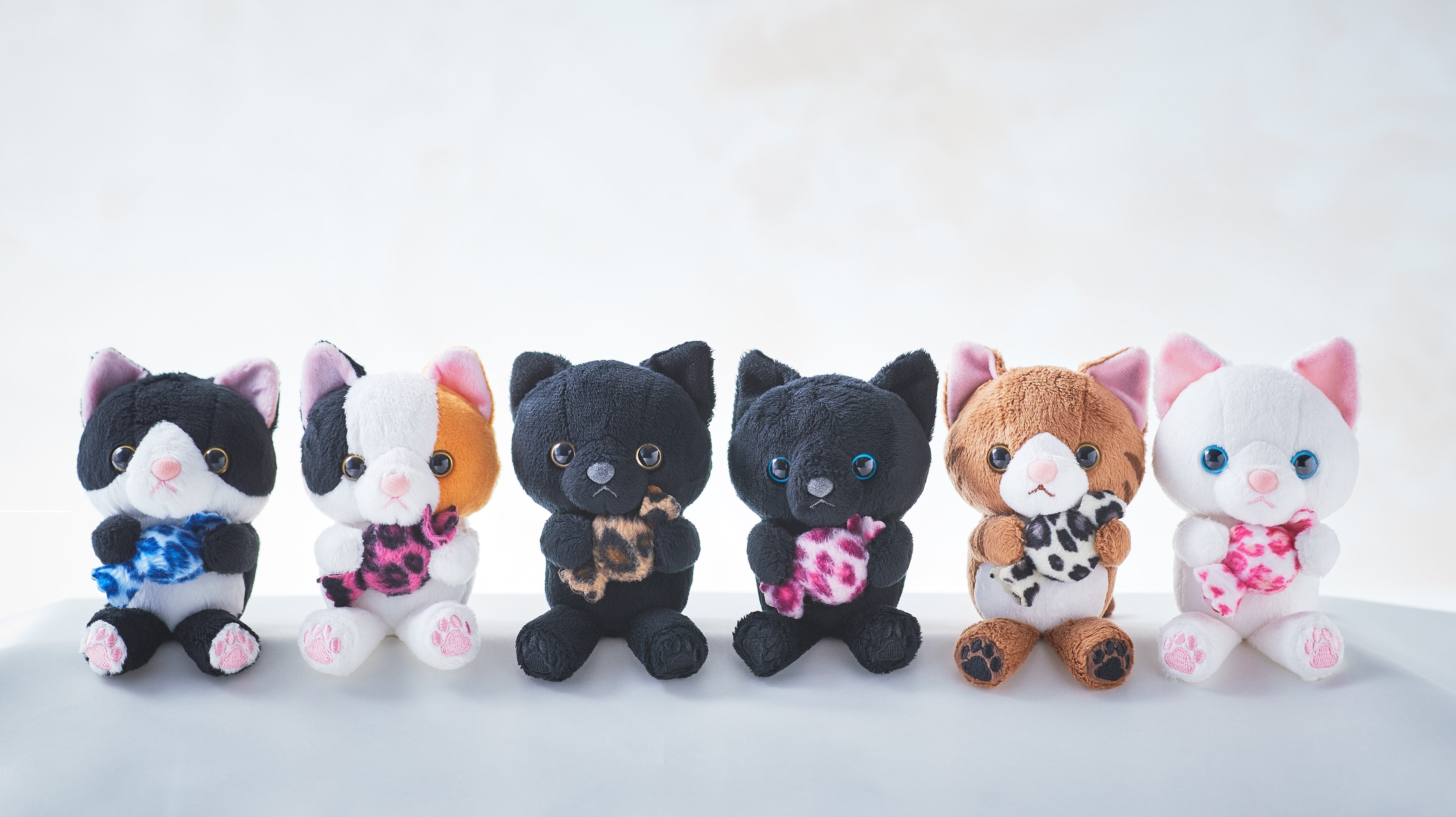 アメちゃんねこ イメージ