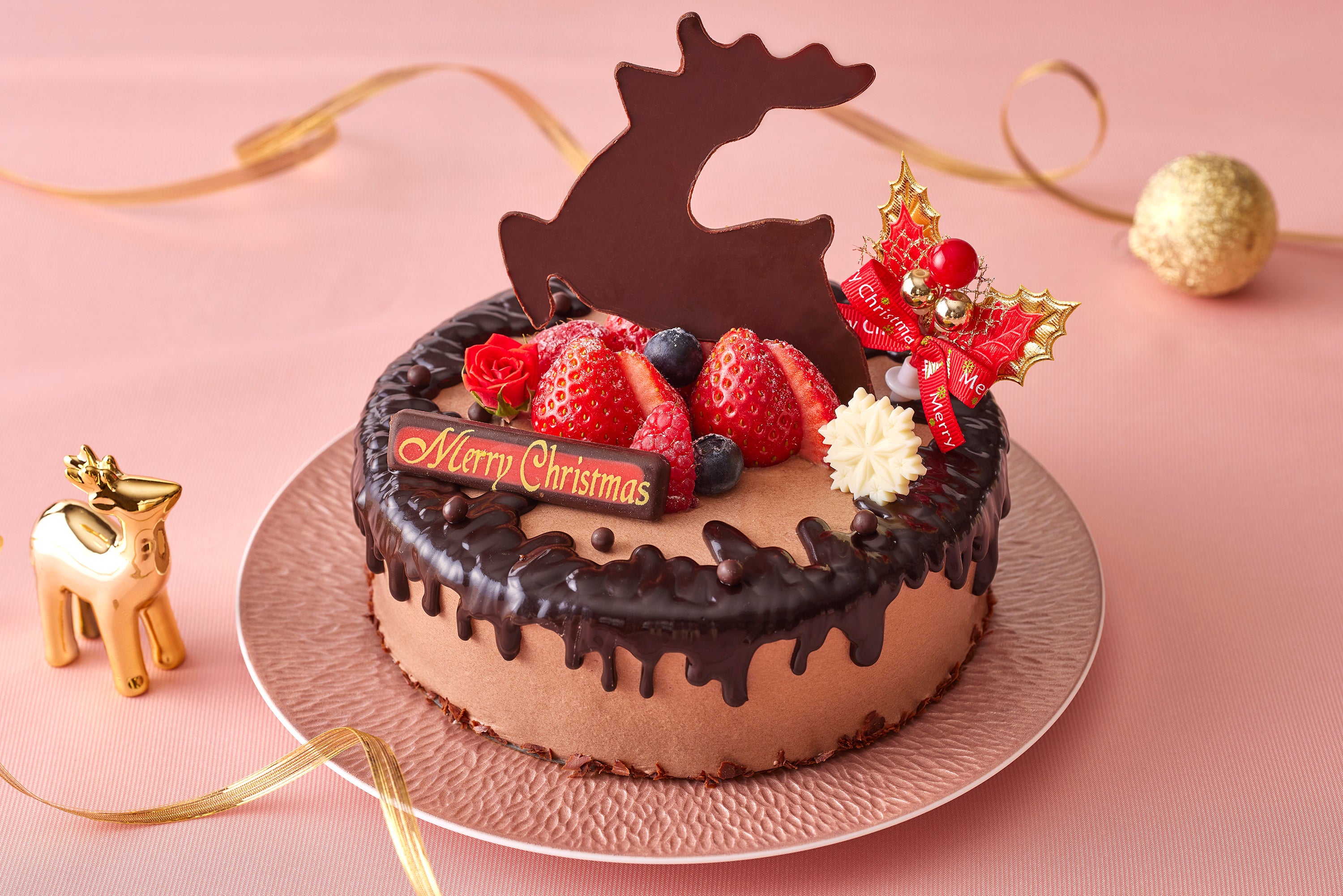 クリスマスチョコデコレーションケーキ