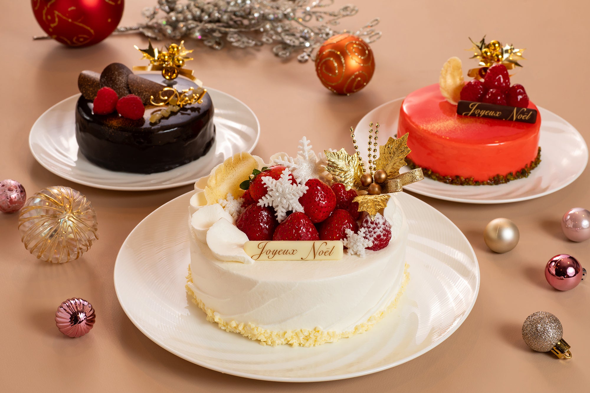 ヴァローナ クリスマスケーキ型 2213-3596-