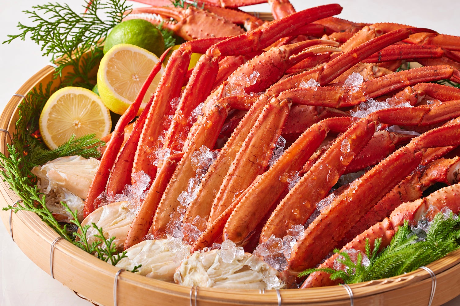 トゲズワイガニ