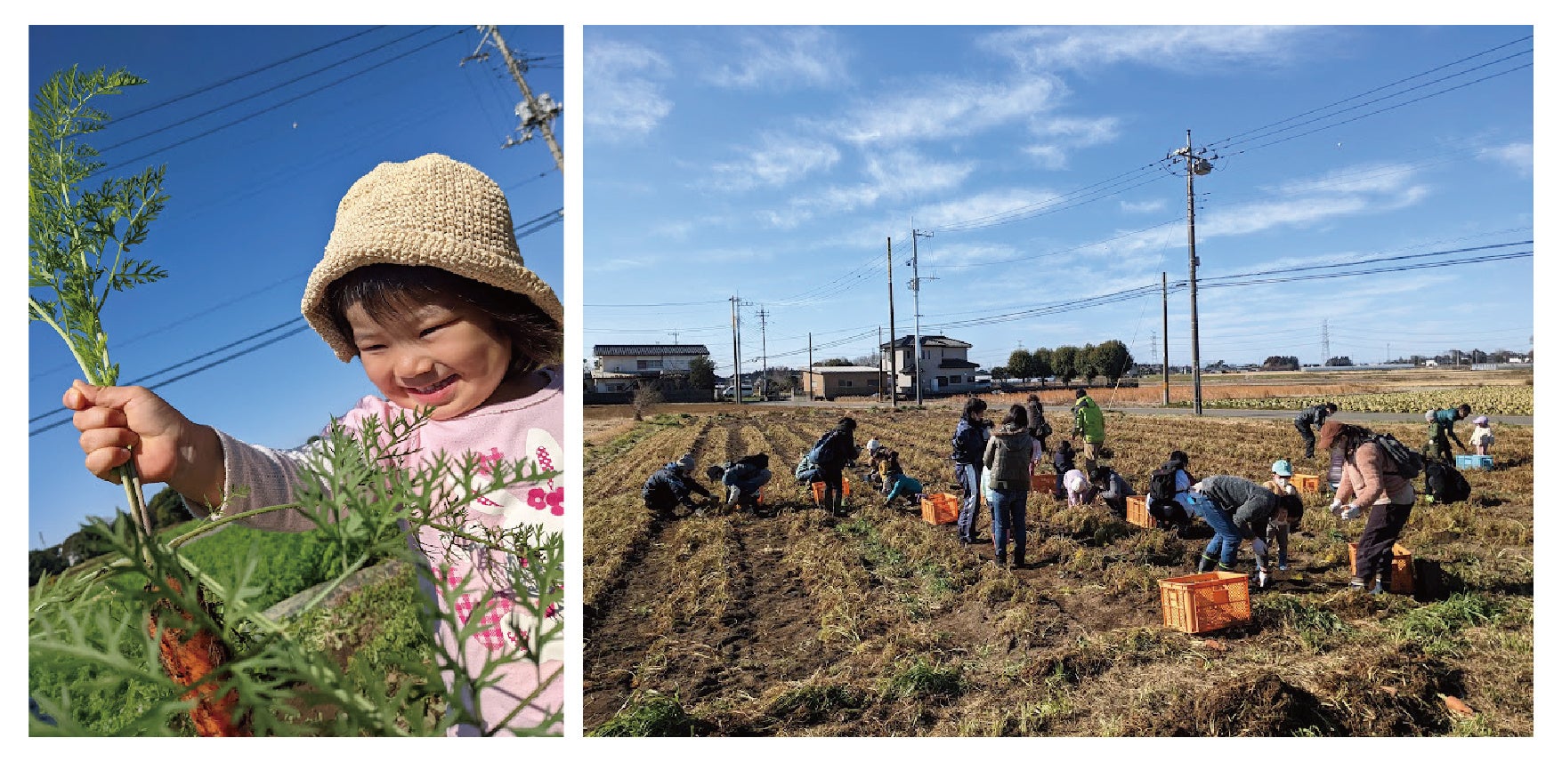 松田農園のイメージ