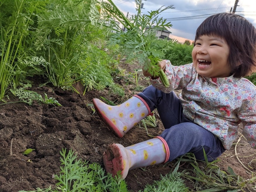 収穫体験のイメージ