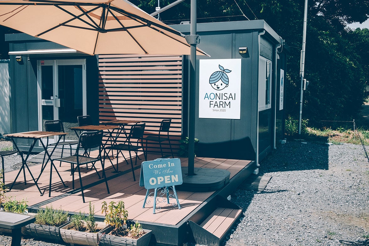 アオニサイファーム