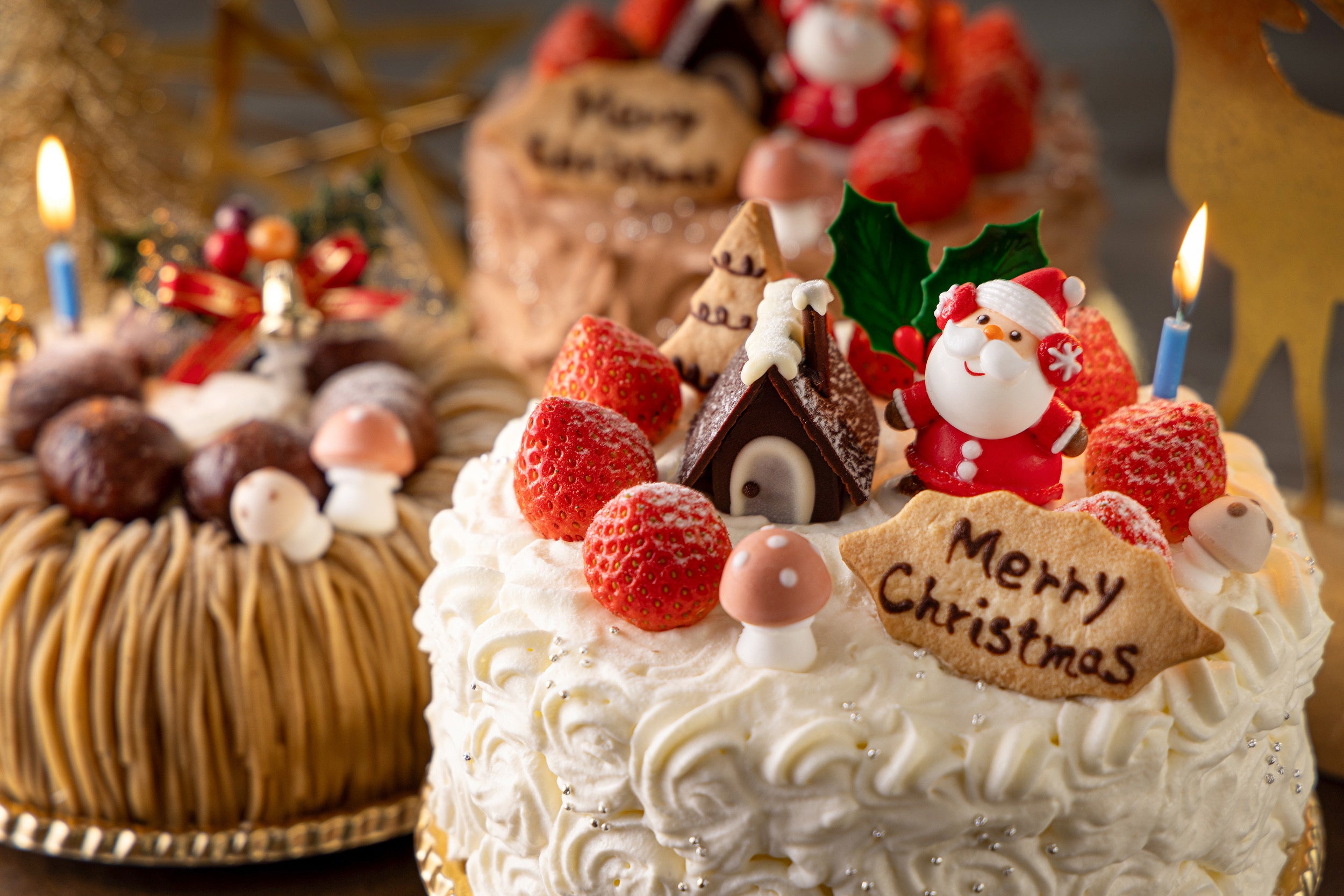 【リーガロイヤルホテル小倉】限定30台 プレミアムクリスマスケーキが登場 ショコラ×ピスタチオ×フランボワーズが幾層に重なる、新作ブッシュ・ド・ノエル