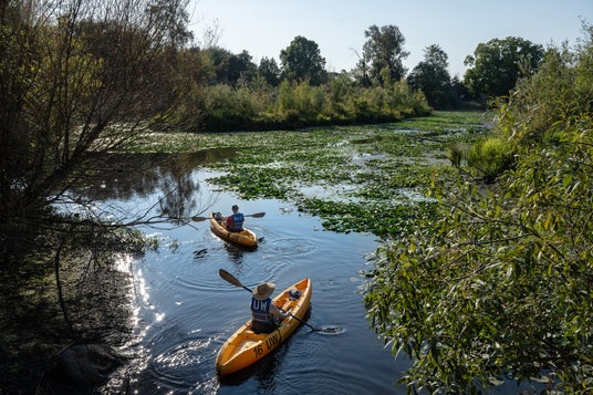 2026年、シアトルとその周辺で試してみたいアウトドア体験 2026年、シアトルとその周辺で試してみたいアウトドア体験