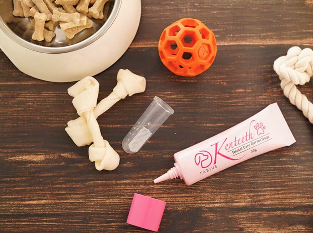愛犬用歯みがきジェル「Kenteeth(ケンティス)」新発売!圧倒的な