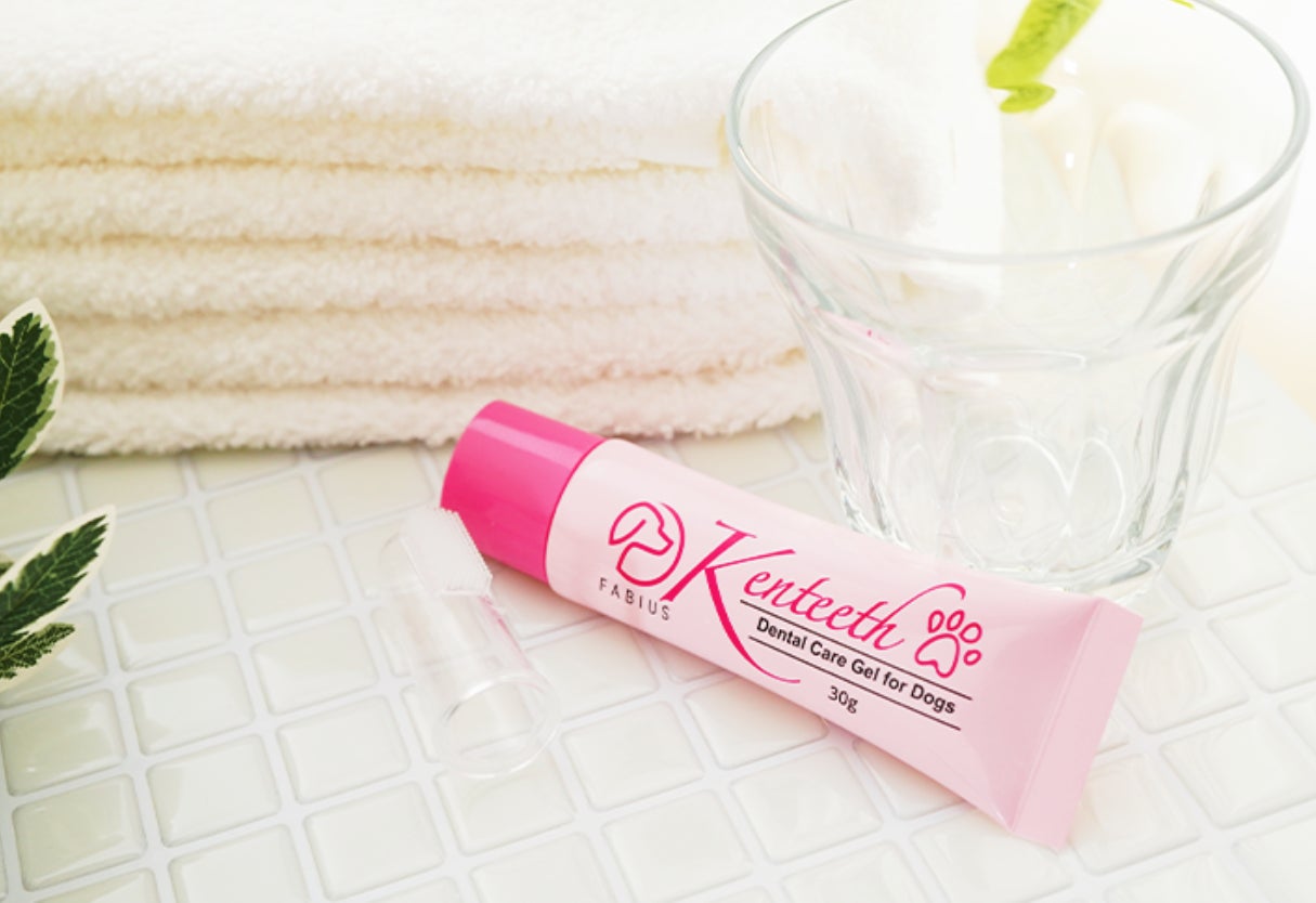 愛犬用歯みがきジェル「Kenteeth(ケンティス)」新発売!圧倒的な
