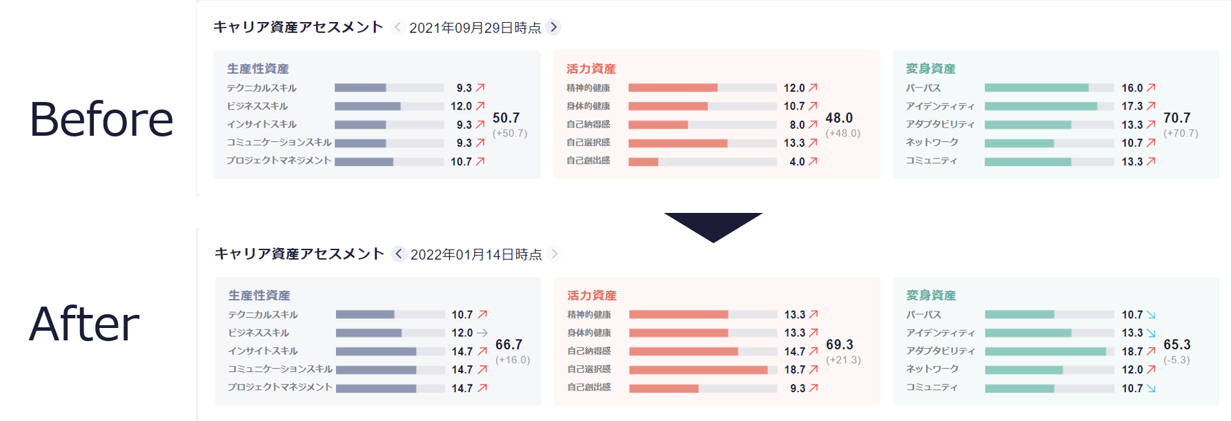  『プロテア』を使った実証前後のキャリア資産の変化の可視化（イメージ） 
