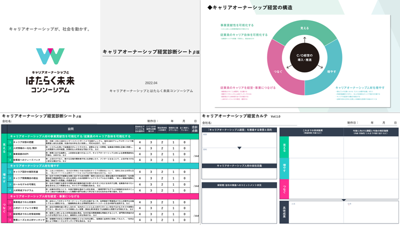 ＜ キャリアオーナーシップ経営診断シート β版 資料抜粋 ＞