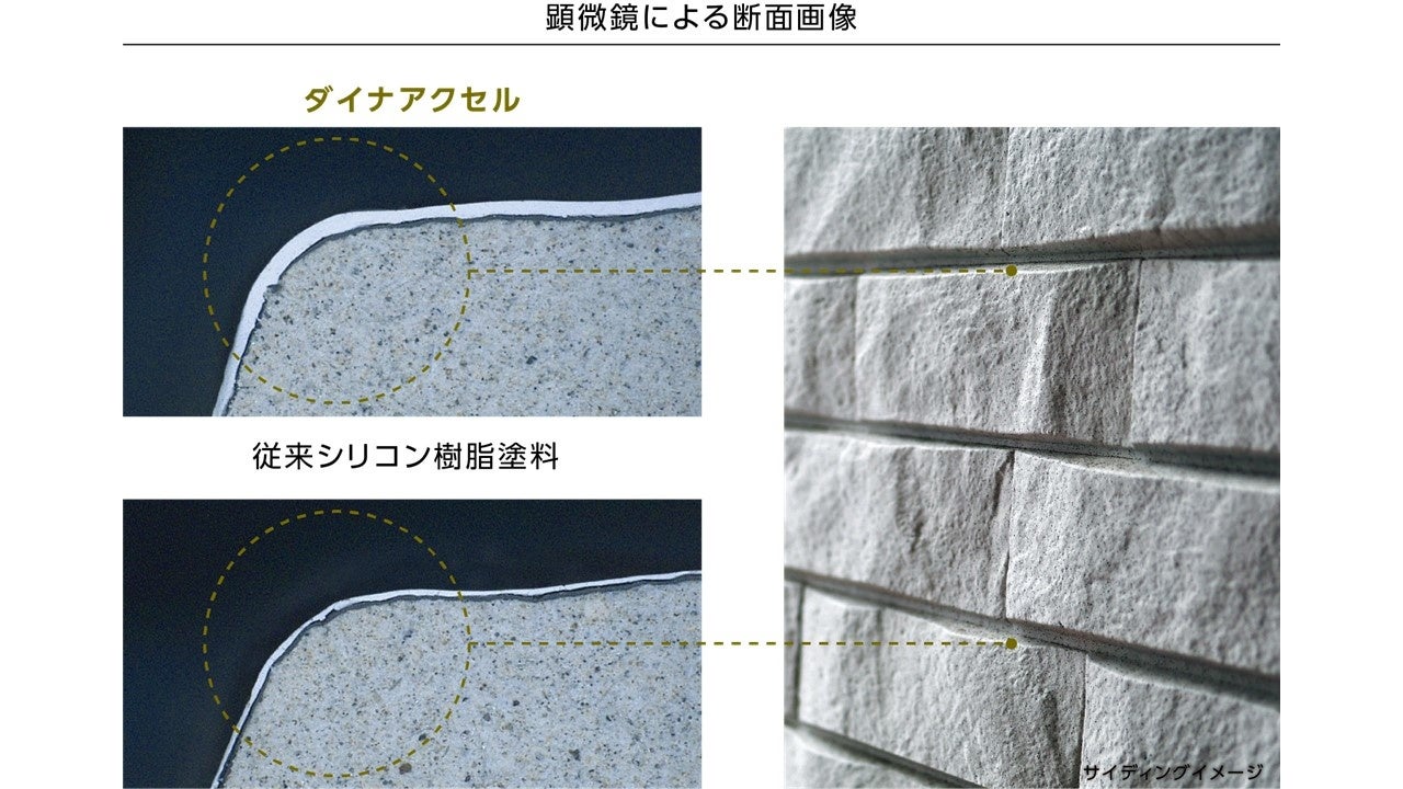 １）エッジカバー性の比較（顕微鏡による断面画像）