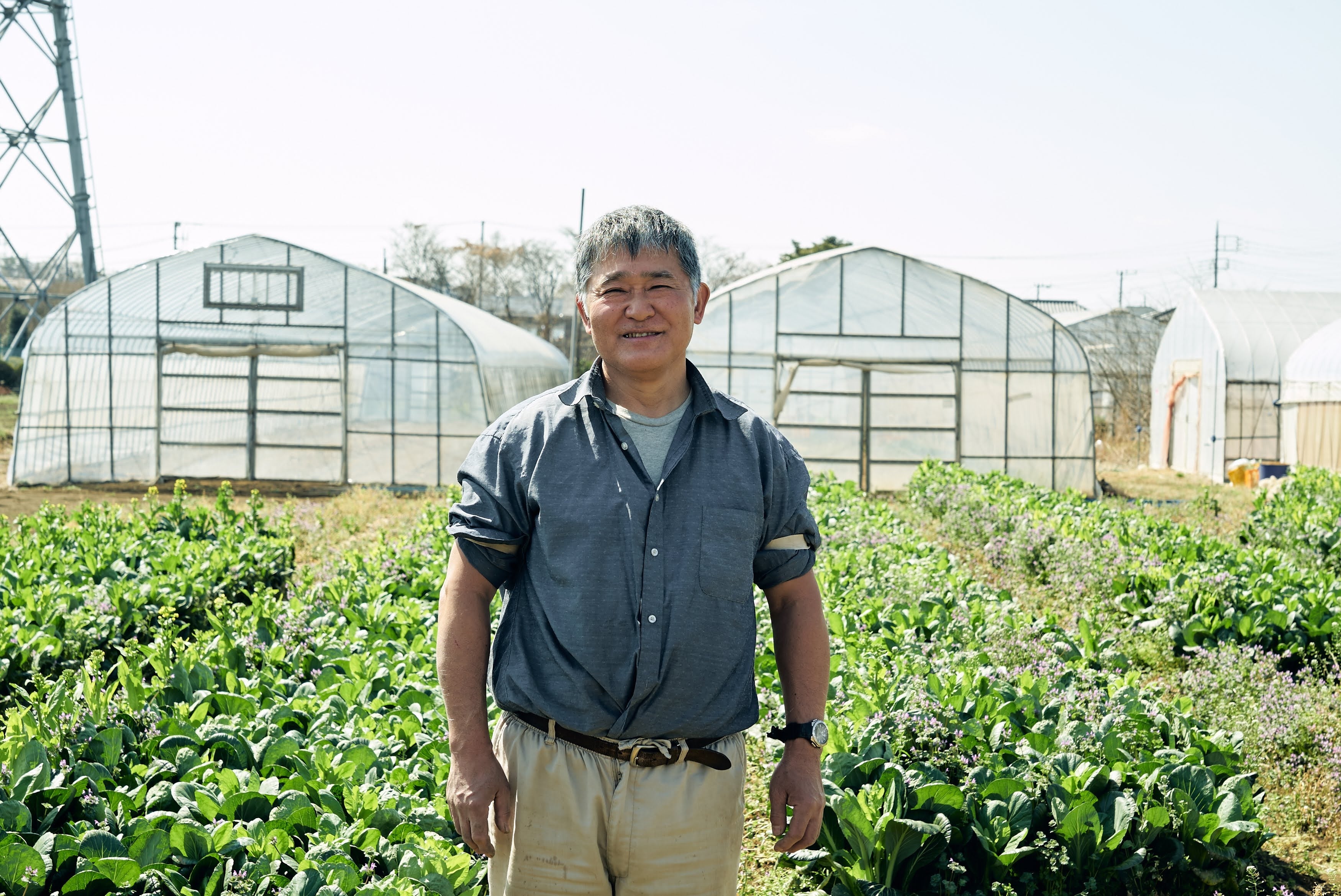 地元で育てた新鮮な野菜を、直売所で直接販売する篠宮農園の篠宮さん