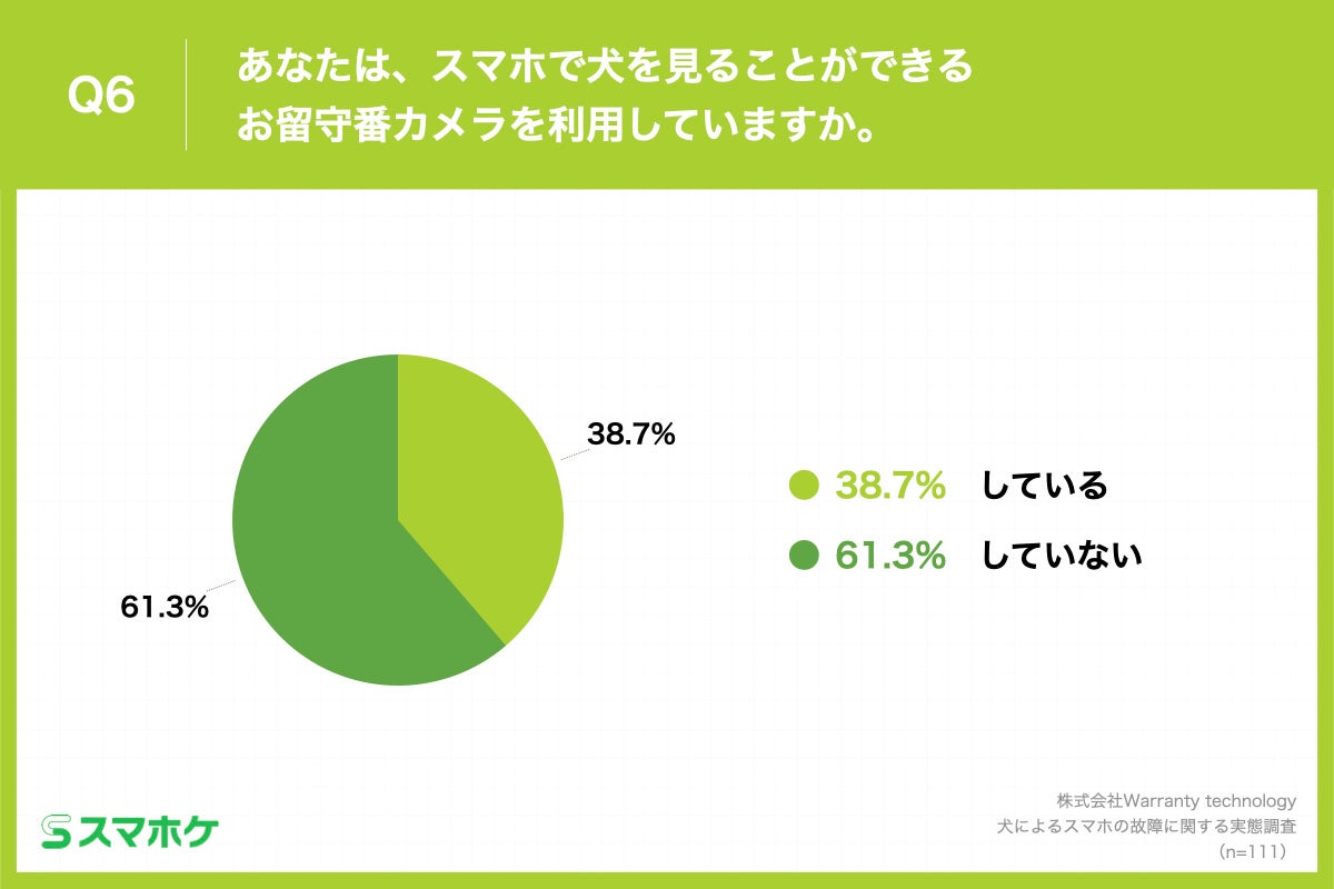Q6.あなたは、スマホで犬を見ることができるお留守番カメラを利用していますか。