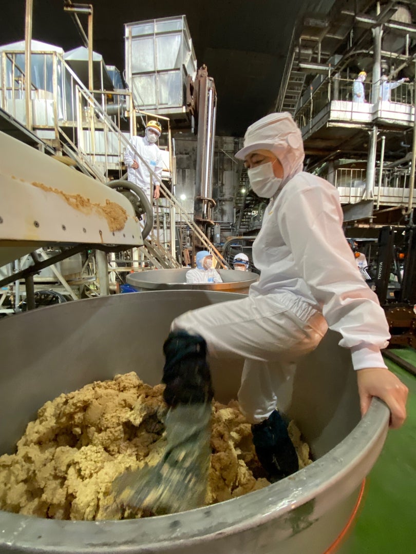 味噌󠄀が均一に発酵するように、人の力で丁寧に空気を抜きながら仕込む。