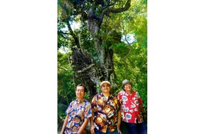 BEGIN 沖縄本土復帰50年の節目の年に「島人ぬ宝」の20周年記念MVを公開!