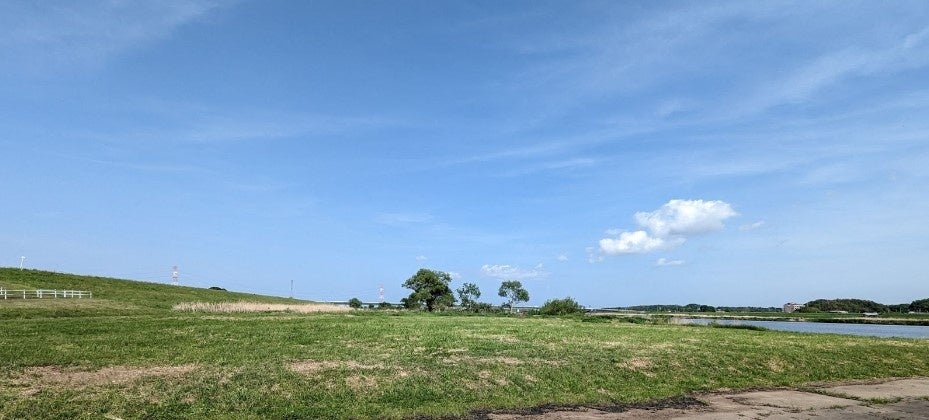 ▲空に向けて大きくひらけた利根川河川敷の様子