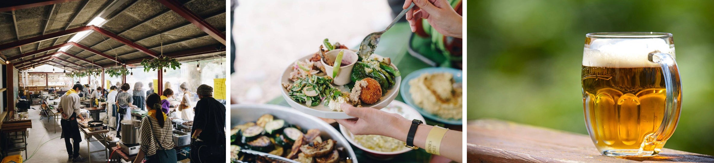 写真は活動イメージです