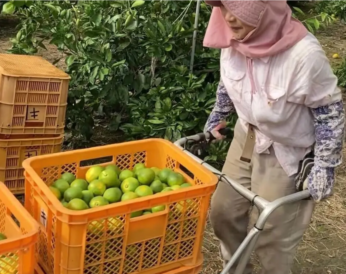 新潟県のスマート農業を運搬から推進！】ねこ車のタイヤを取り替える