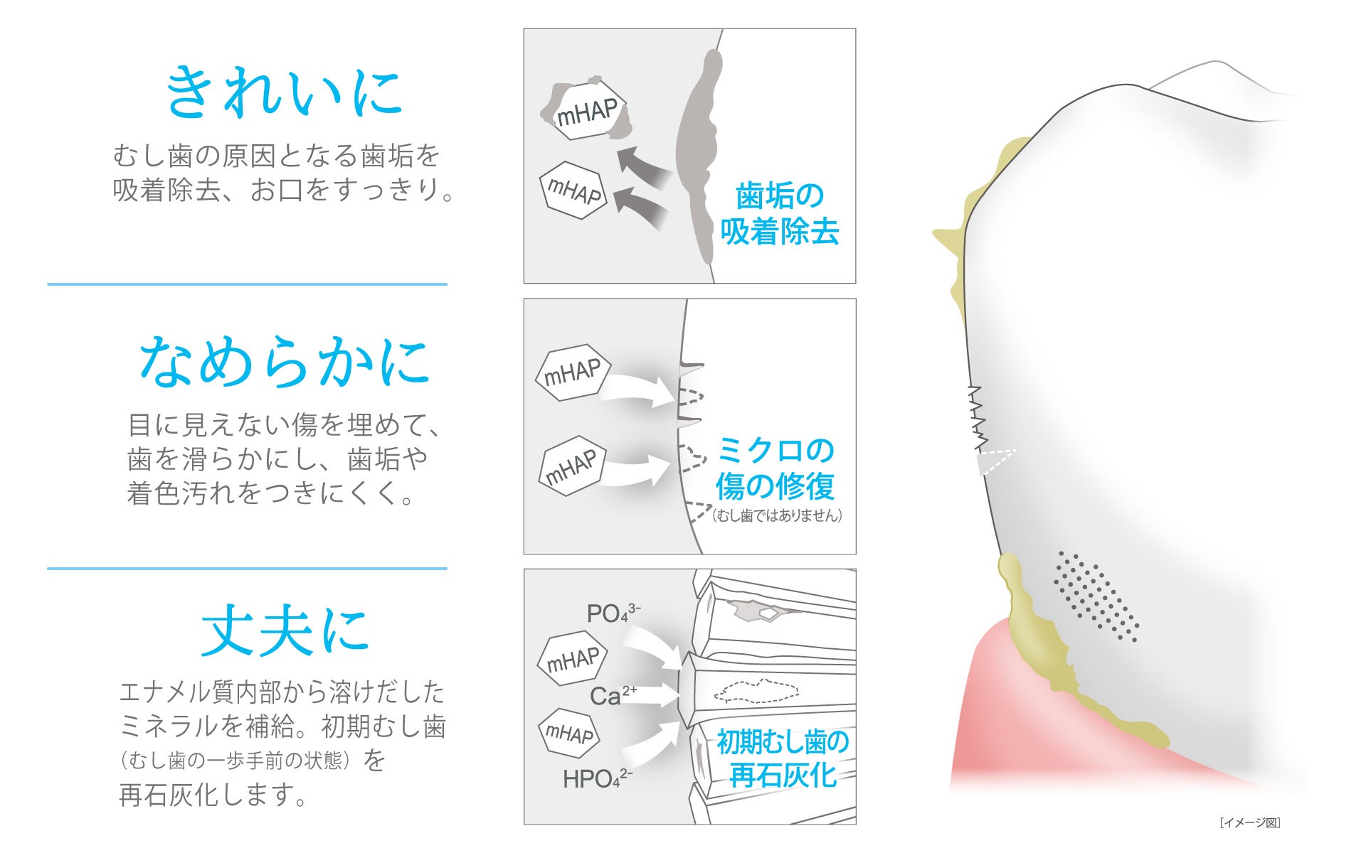 アパガードプレミオ 商品画像