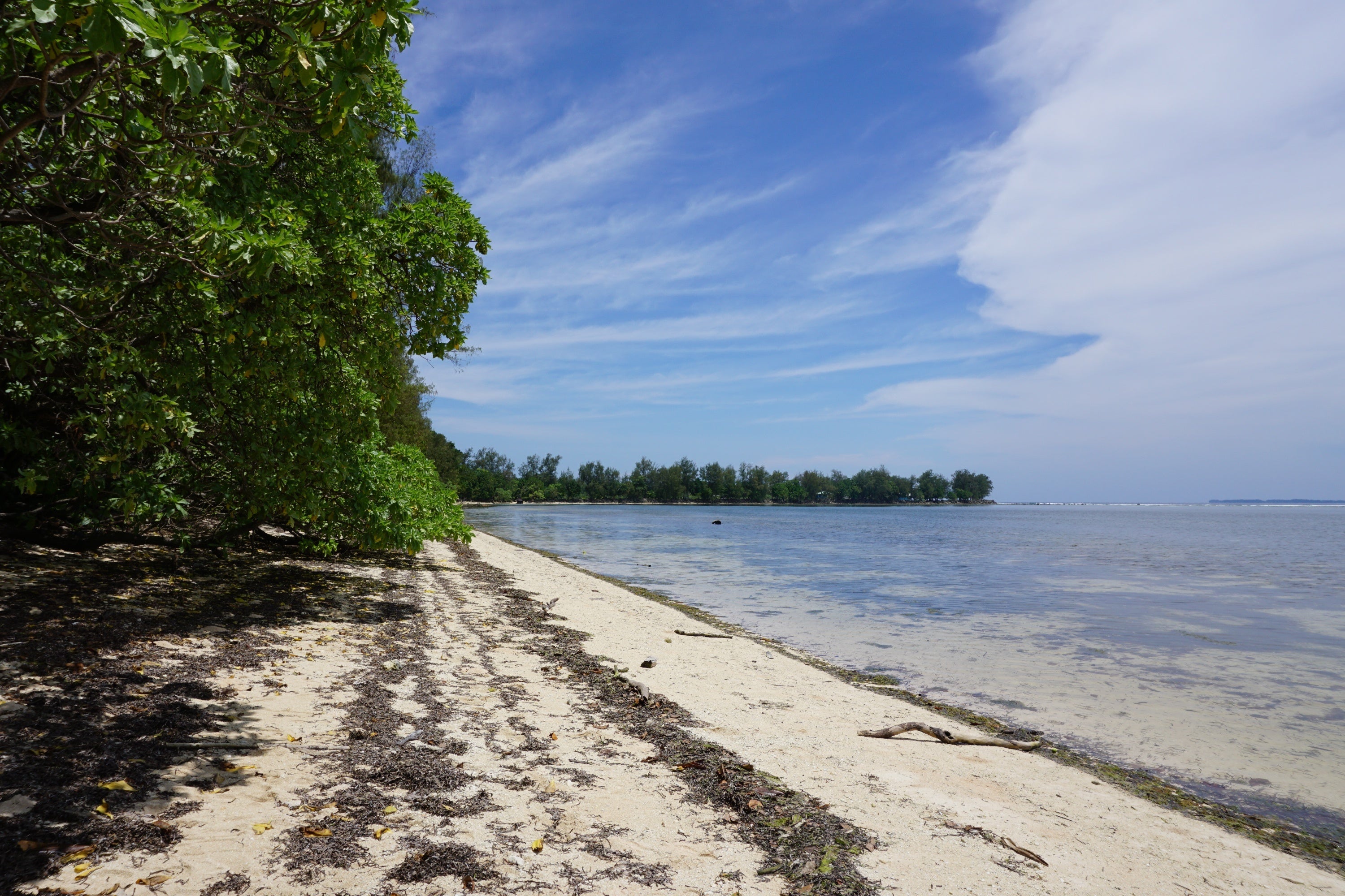 先の大戦の激戦地だったパラオ・ペリリュー島の海岸