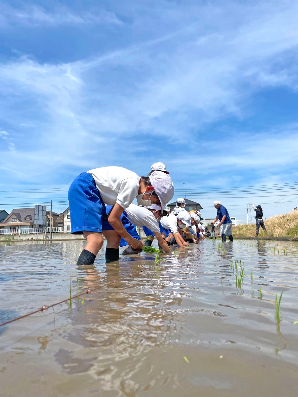 田植えイメージ