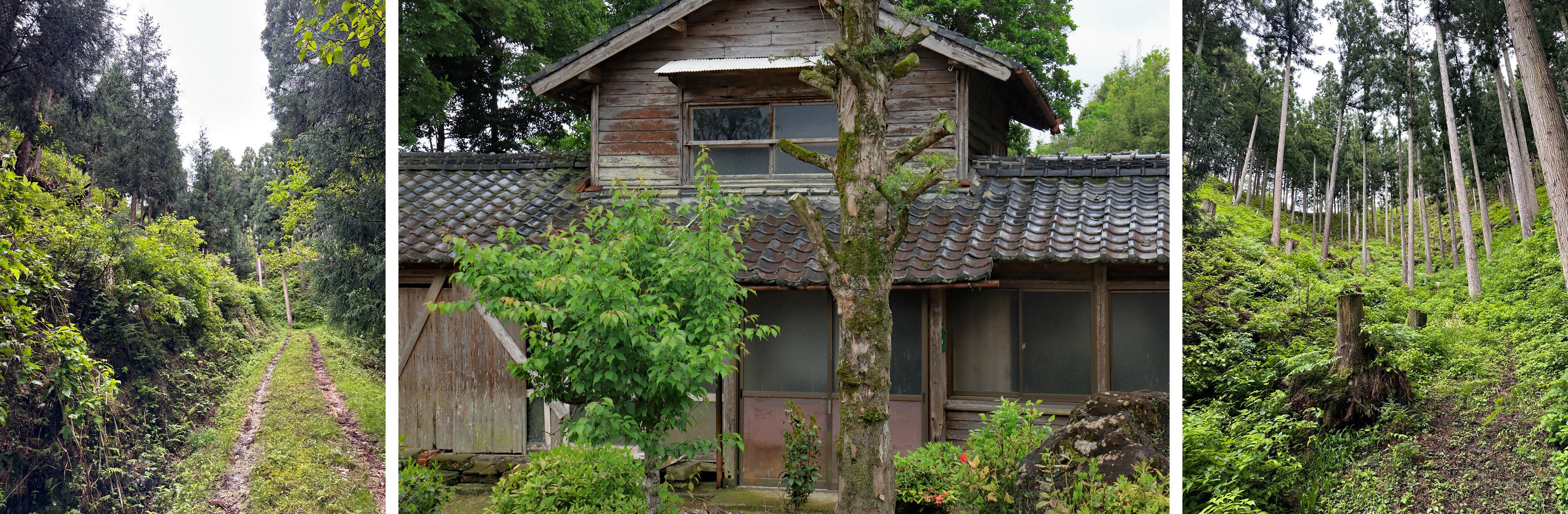 ※写真はイメージ