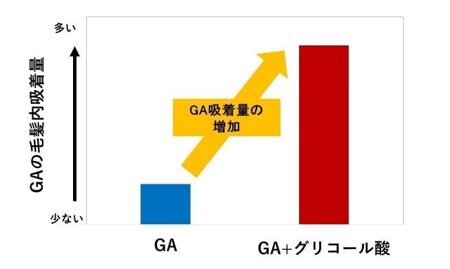 図２）液体クロマトグラフィー質量分析法(LC／MS)を用いたGAの毛髪内吸着量