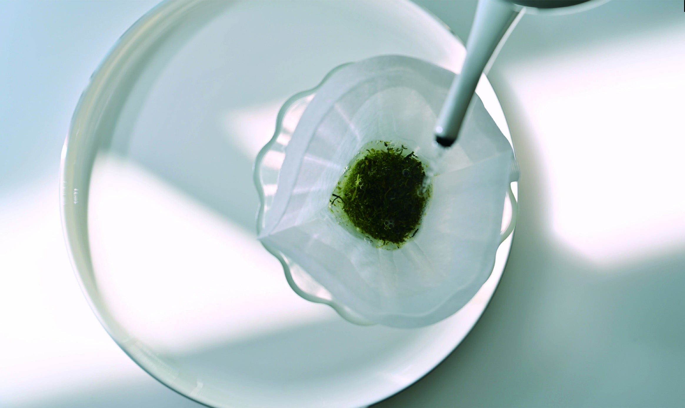 まずは、茶葉を蒸らします