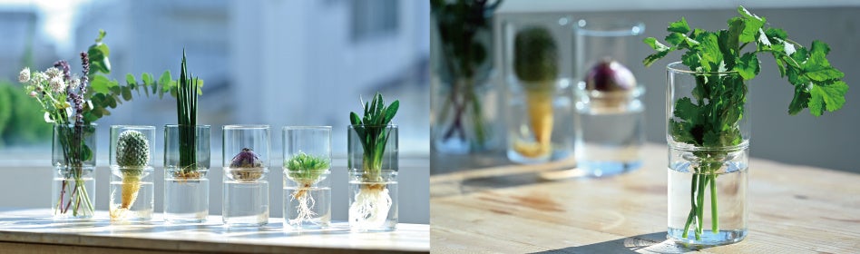 ガラスの花器イメージ